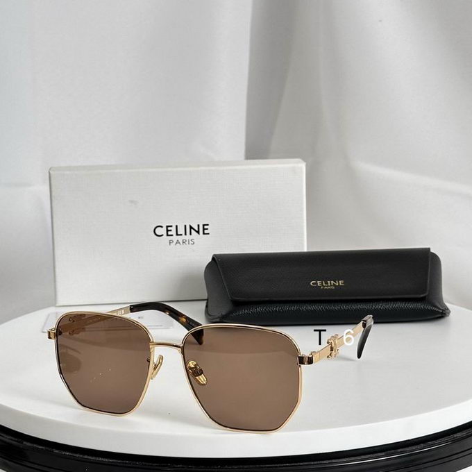 Celine Sunglasses ID:20240804-65